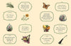 The Green Witch's Sticker Book - B076074 - Uneeka