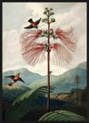 The Tree Of Flowers Flora Framed Print - BFG 50x70 9604 - Uneeka