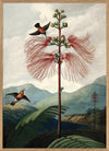 The Tree Of Flowers Flora Framed Print - OFG 50x70 9604 - Uneeka