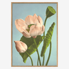 Triple Lotus Framed Art Print - OFG 50x70 9007 - Uneeka