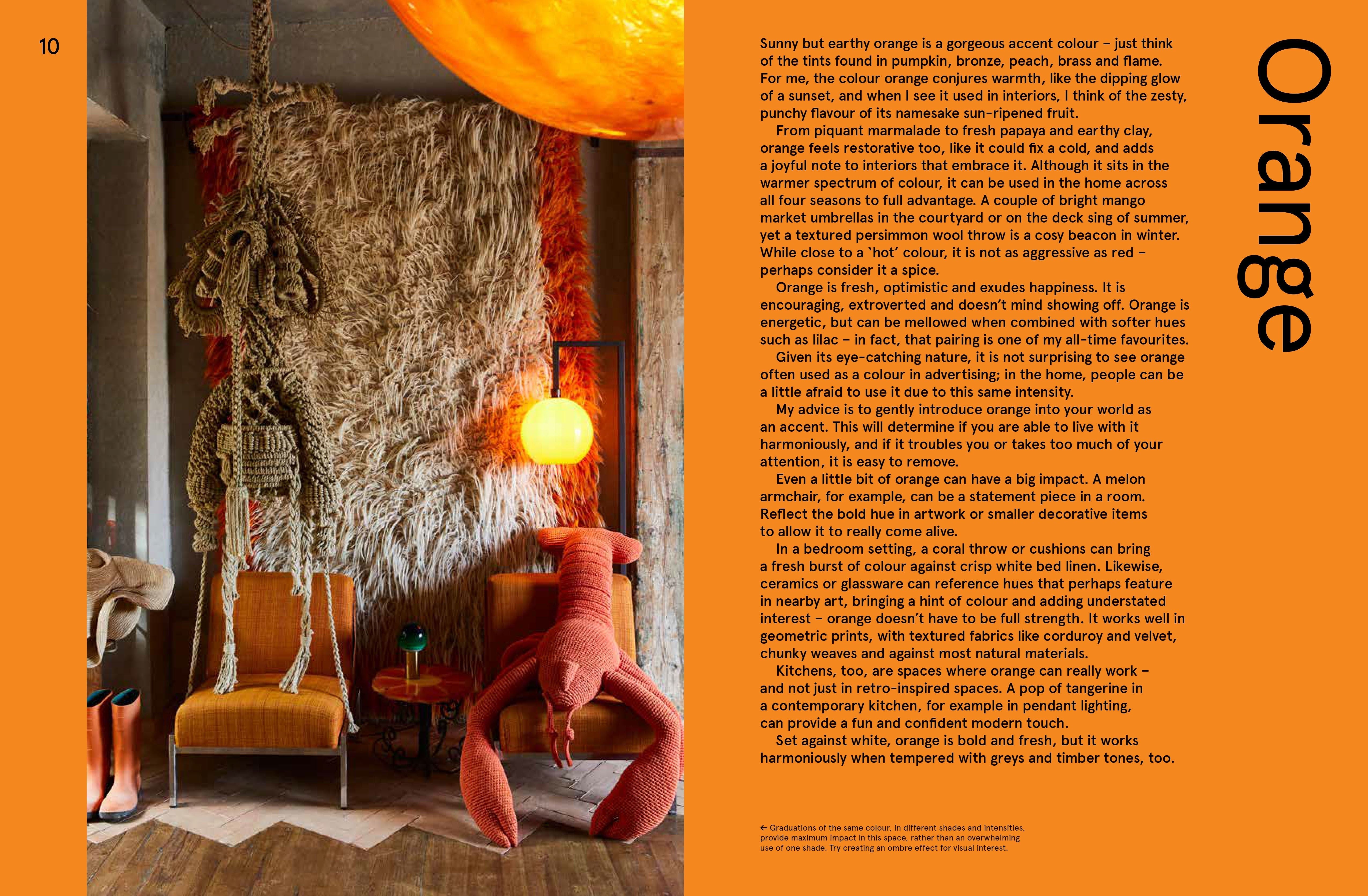 Vivid: Style in Colour Interior Design Book - B056062 - Uneeka