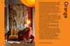 Vivid: Style in Colour Interior Design Book - B056062 - Uneeka
