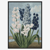 White And Blue Hyacinths Framed Art Print - BFG 50x70 9609 - Uneeka