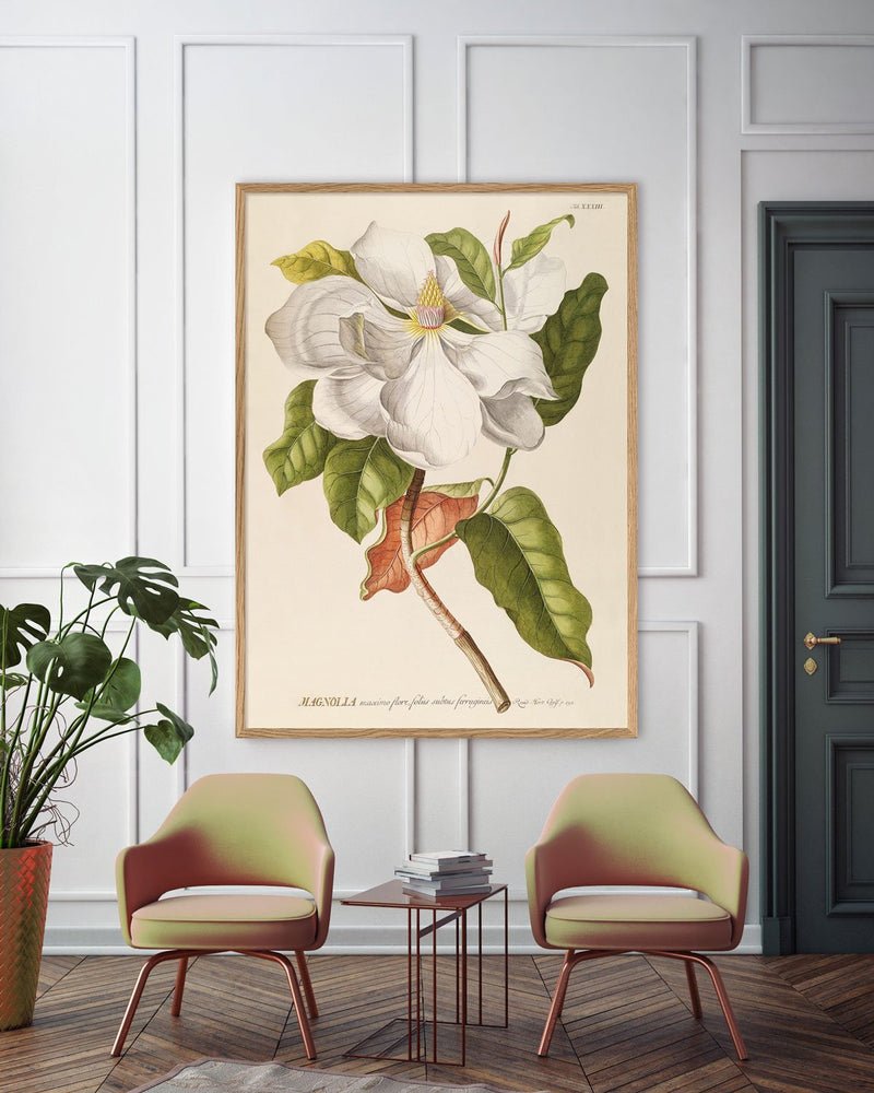 White Magnolia Art Print - OFG 50x70 3713 - Uneeka