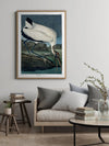 Wood Ibis Framed Art Print - OFG 50x70 6516 - Uneeka