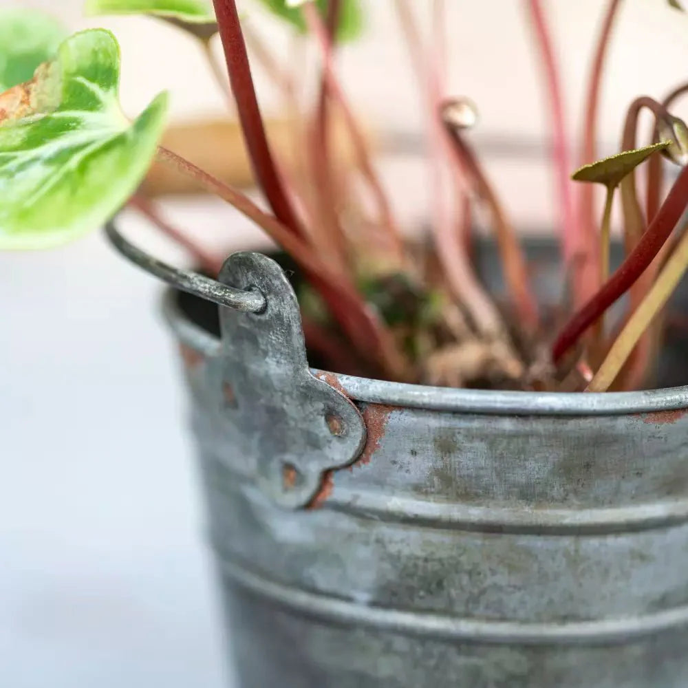 Zinc Mini Bucket - ZON11 - Uneeka